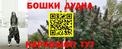 крисы Кимры