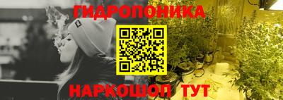 крисы Кимры