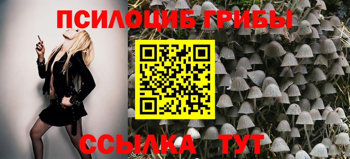Псилоцибиновые грибы мухоморы  Псилоцибиновые грибы мухоморы  Вход с VPN  Энгельс 