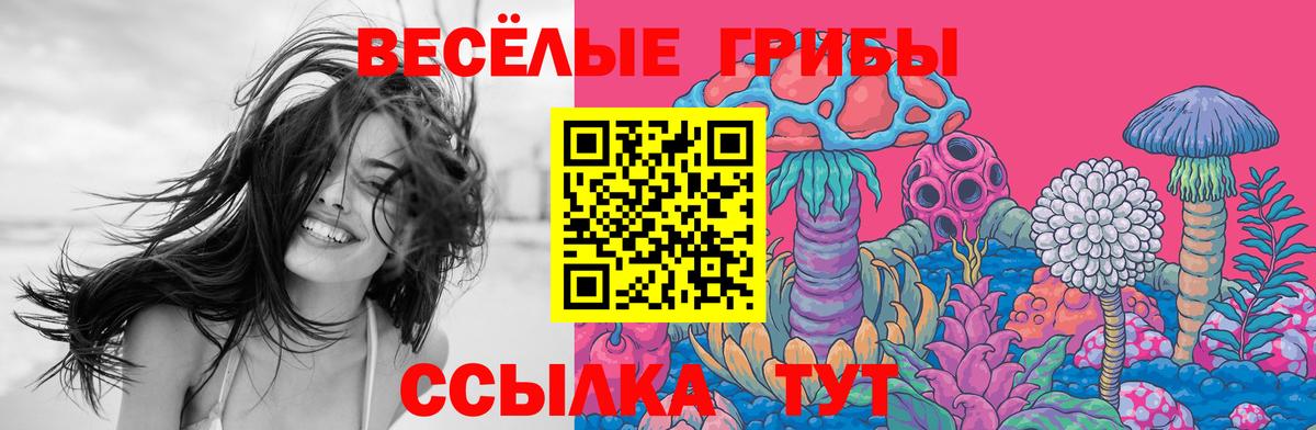 Псилоцибиновые грибы Psilocybine cubensis Энгельс