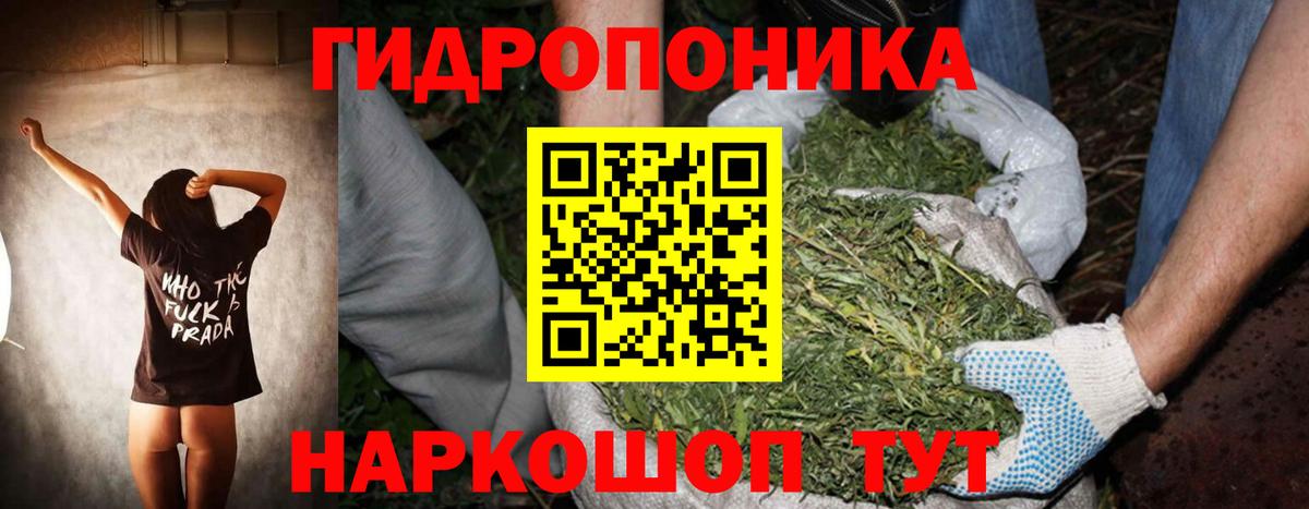 Шишки марихуана White Widow  Бошки марихуана Ganja  Энгельс  Каннабис VHQ  Вход с VPN 